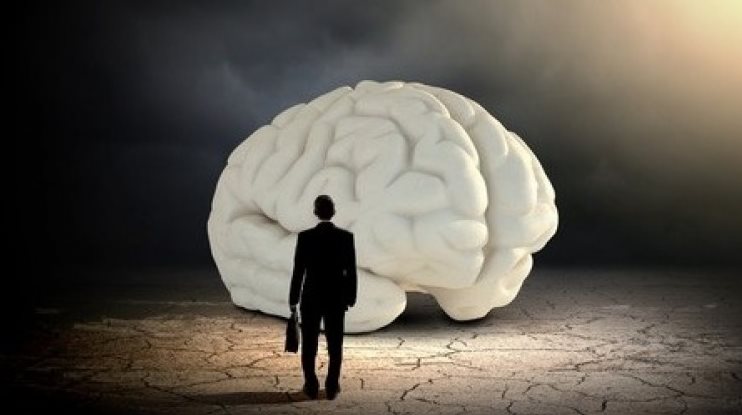 Знакомьтесь, Ваш мозг - Udemy (2016)_0.jpg